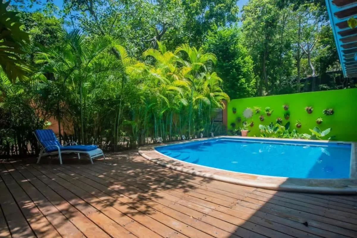 Xcaret Oasis 1Bd Apt For 3 People Solidaridad Inn