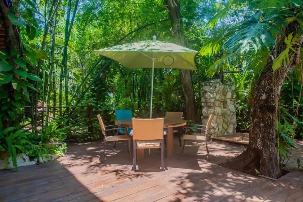 Inn Xcaret Oasis 1Bd Apt For 3 People Solidaridad Mexico